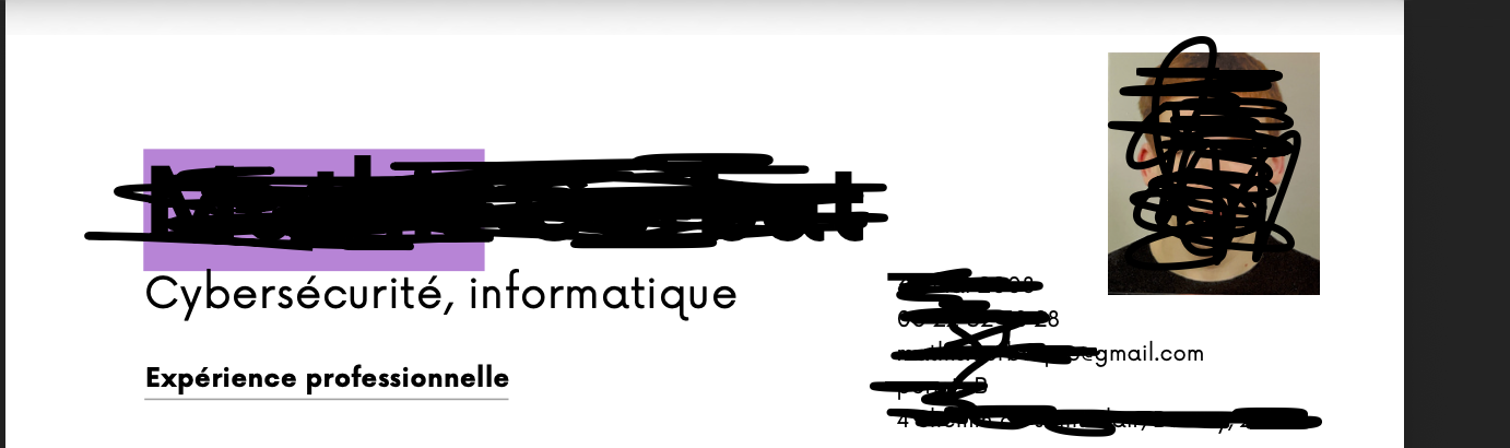 Exemple de CV dépersonnalisé